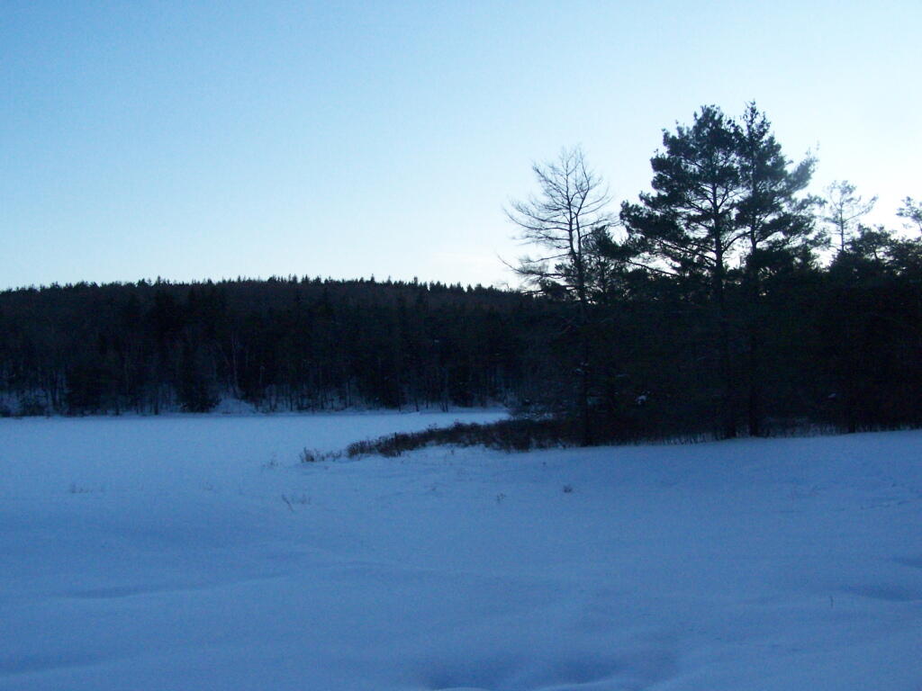 Photo: Upper Pond on Beaver Road Photo: Upper Pond on Beaver Road