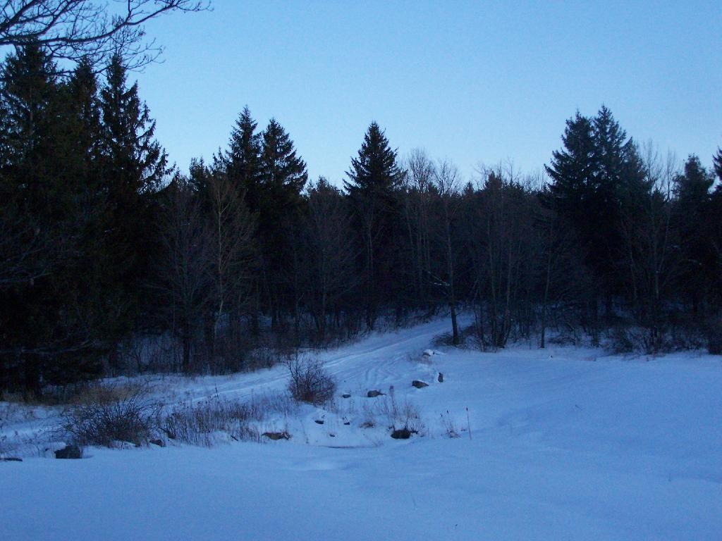 Photo: Beaver Road Photo: Beaver Road