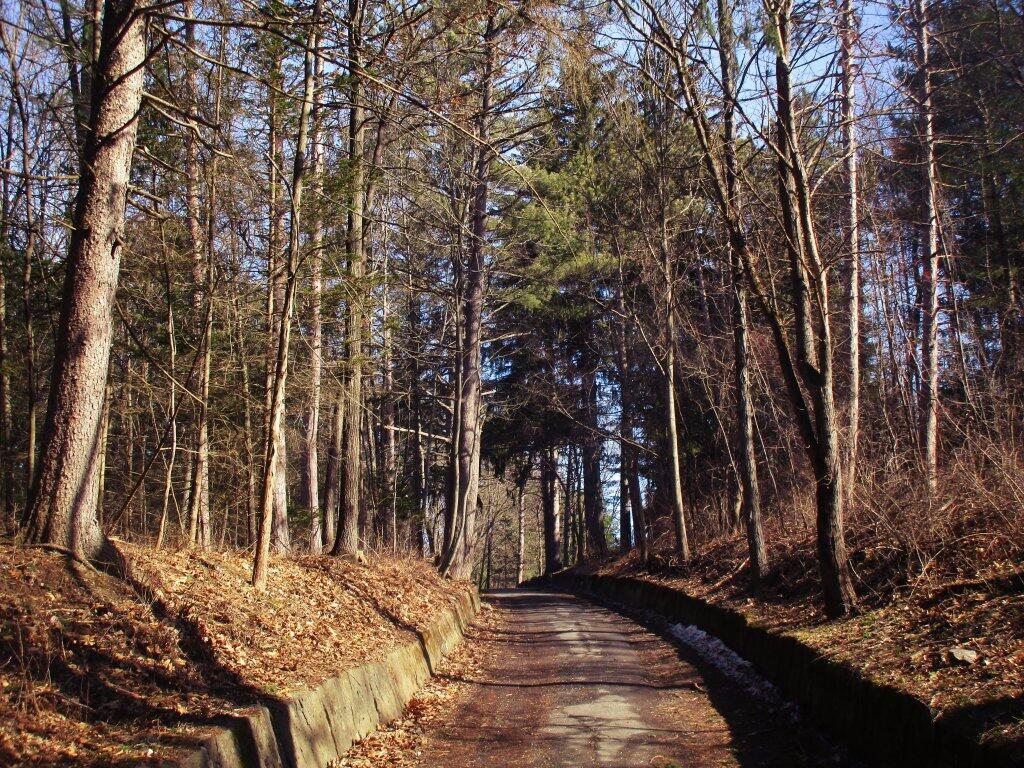 Photo: Driveway