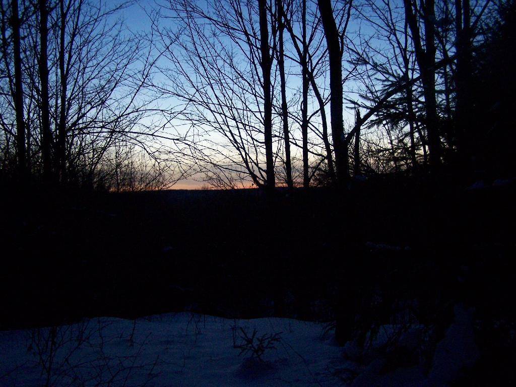Photo: Dark Out Photo: Dark Out