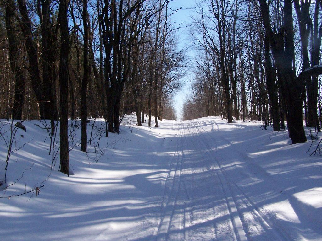 Photo: Scutt Road