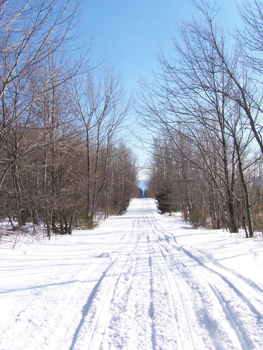 Photo: Along Scutt Road
