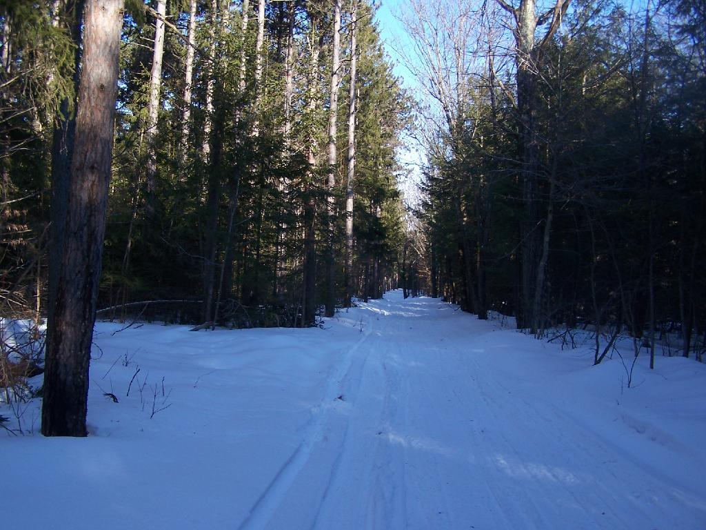 Photo: Along Truck Trail
