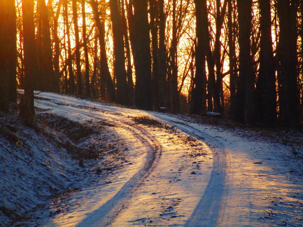 Photo: Evening on Truck Trail 13