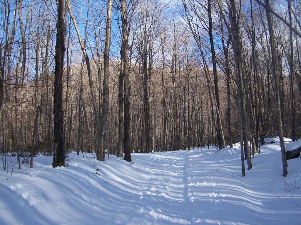 Photo: Starting Up the Spruceton Trail Photo: Starting Up the Spruceton Trail