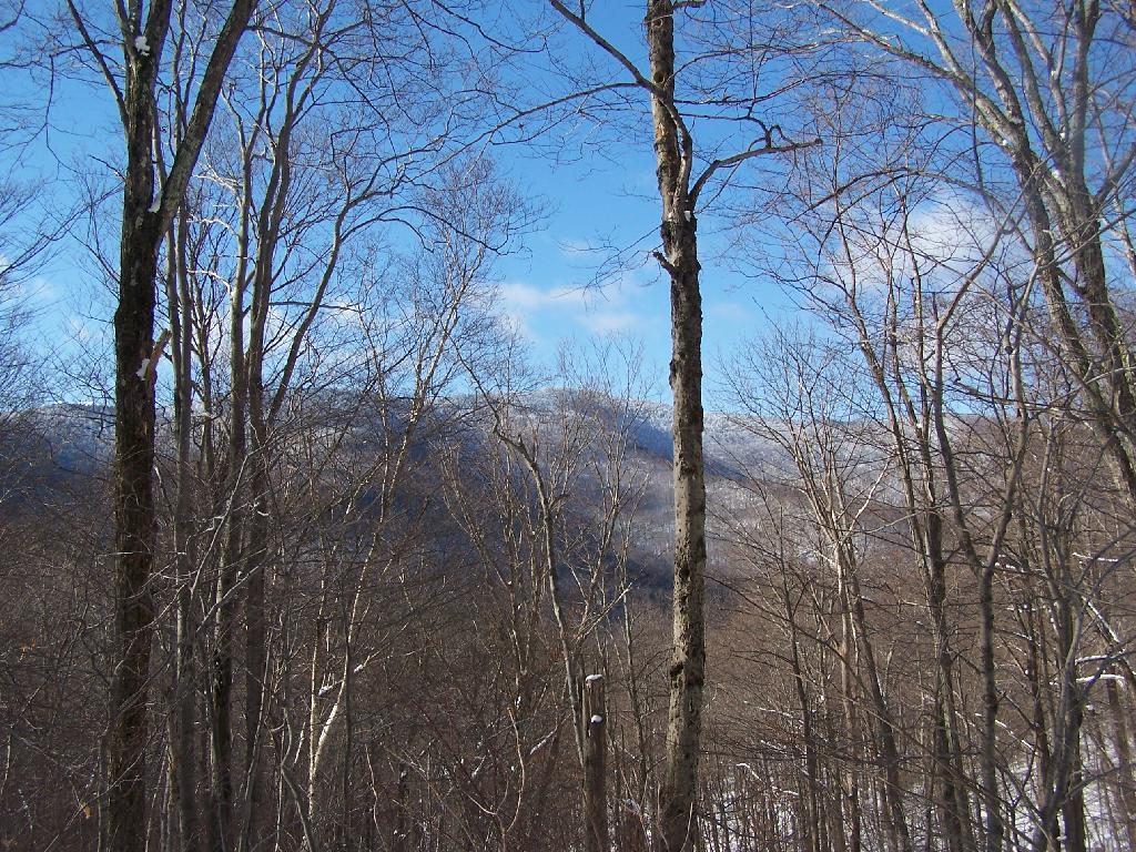 Photo: West Kill Mountain