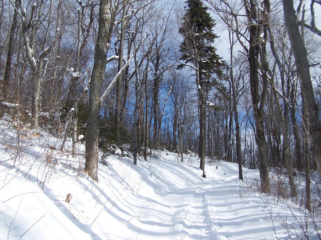 Photo: Reaching the Saddle Between Rusk and Hunter