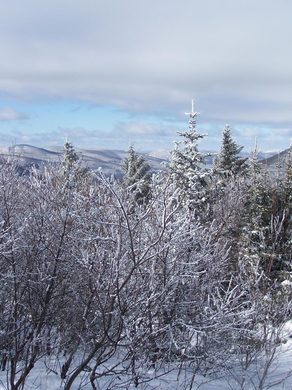 Photo: West Kill Valley from John Robb Leanto Photo: West Kill Valley from John Robb Leanto
