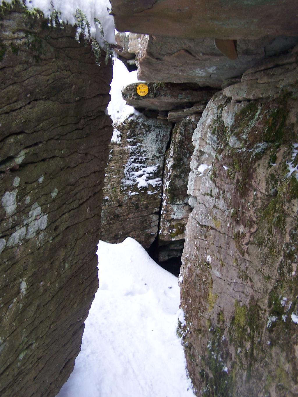 Photo: Trail to Lean-To