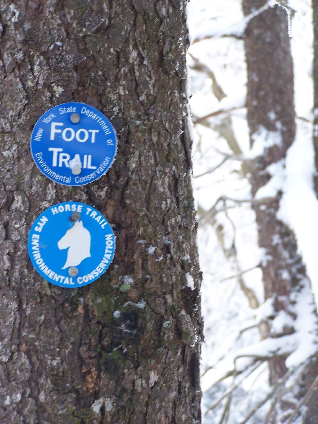 Photo: Co-Signed Spruceton Trail