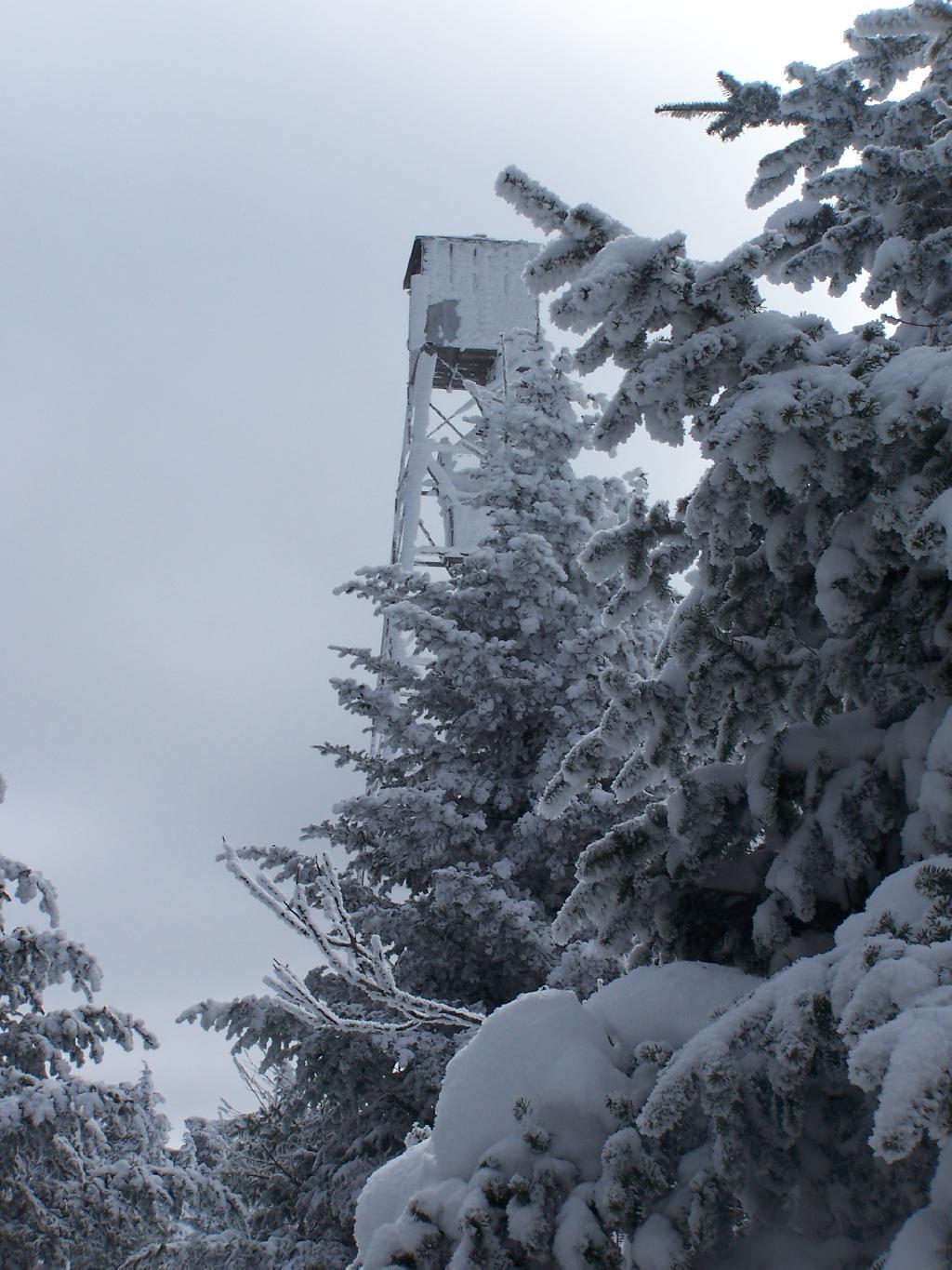 Photo: Approaching the Fire Tower