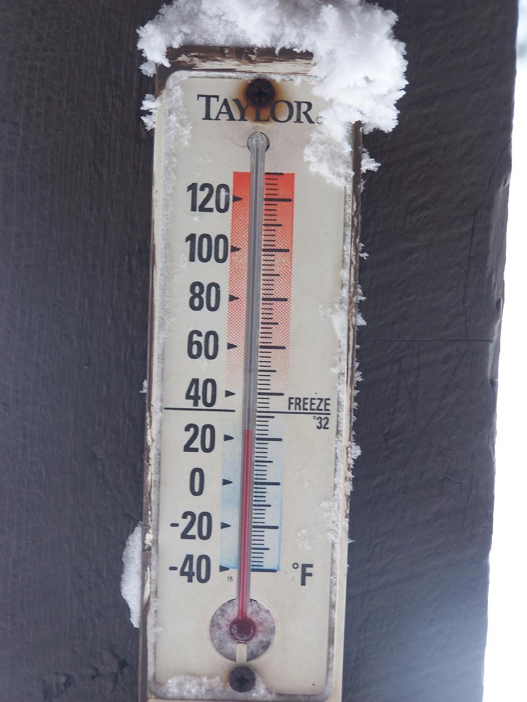 Photo: Balmy 24 Degrees