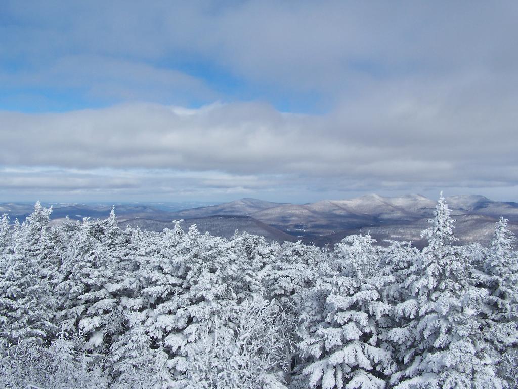 Photo: North from Tower