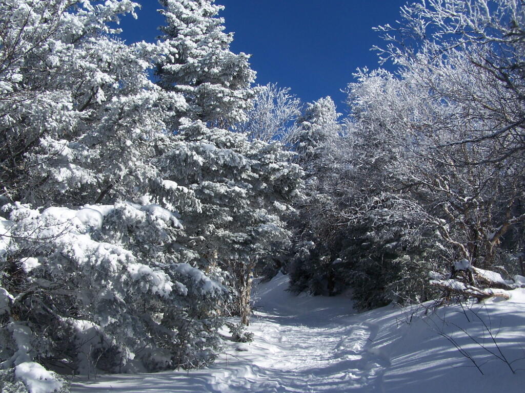 Photo: Descending the Trail Photo: Descending the Trail
