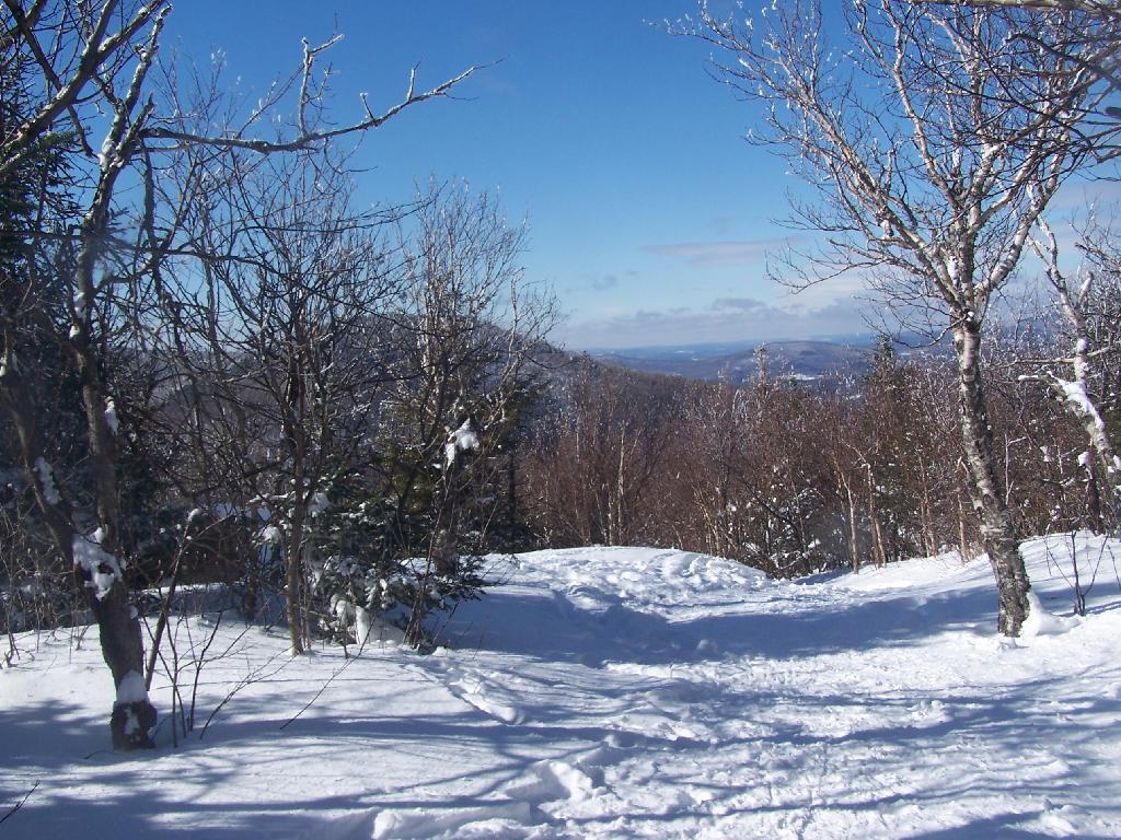 Photo: Looking Towards Rusk