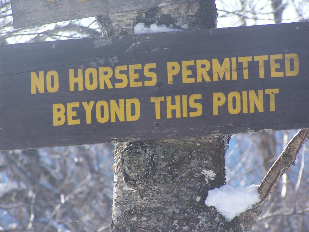 Photo: No Horses Past This Point