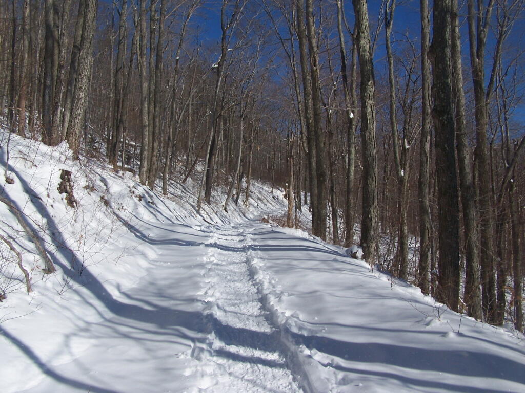 Photo: Up Old Hunter Road Photo: Up Old Hunter Road