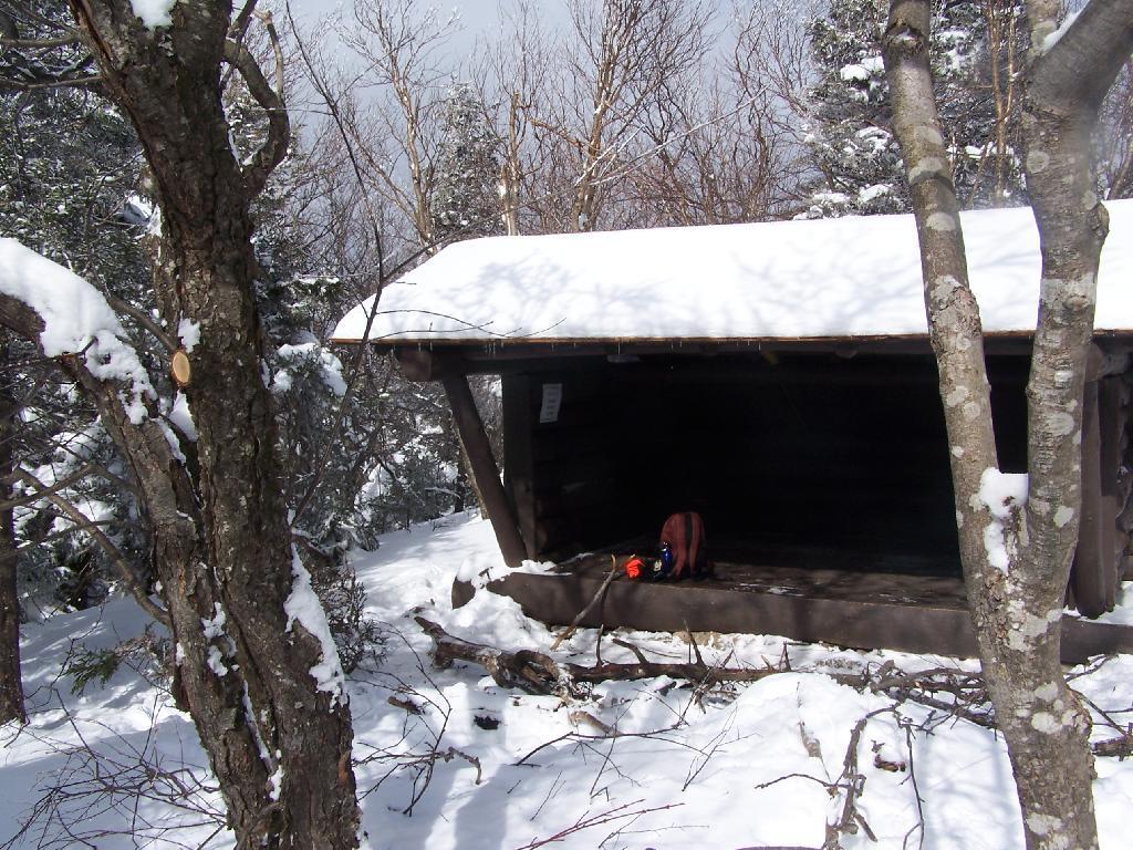 Photo: John Robb Leanto