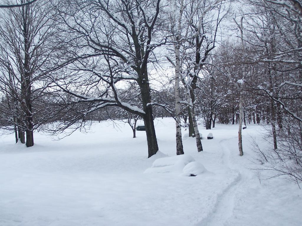 Photo: Snowshoeing Along Horseshoe Clove Photo: Snowshoeing Along Horseshoe Clove