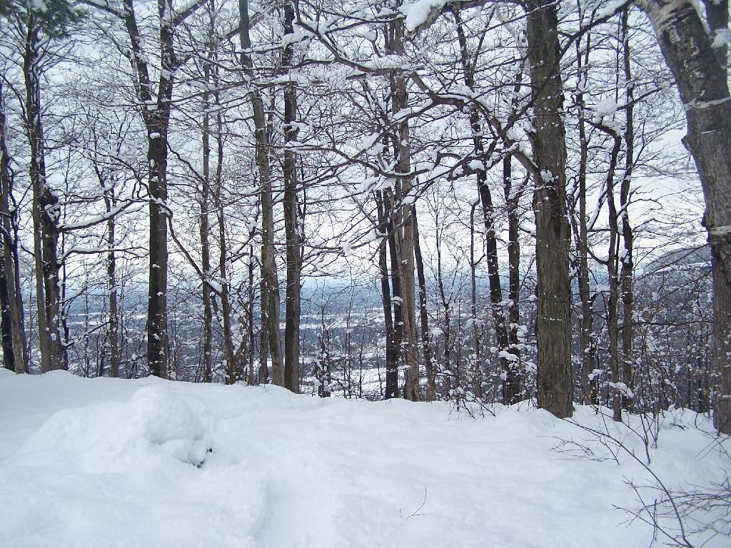 Photo: Heading Down to Escarpment Photo: Heading Down to Escarpment