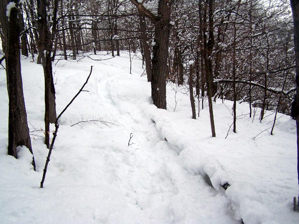 Photo: Railing Along Escarpment
