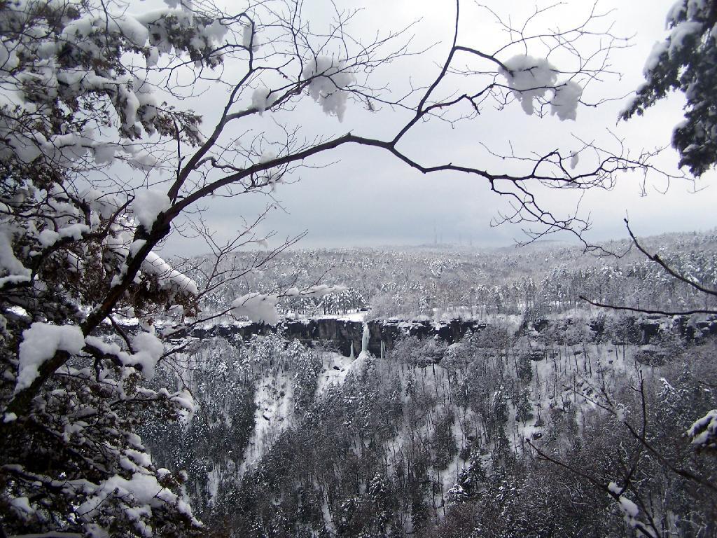 Photo: Along Escarpment