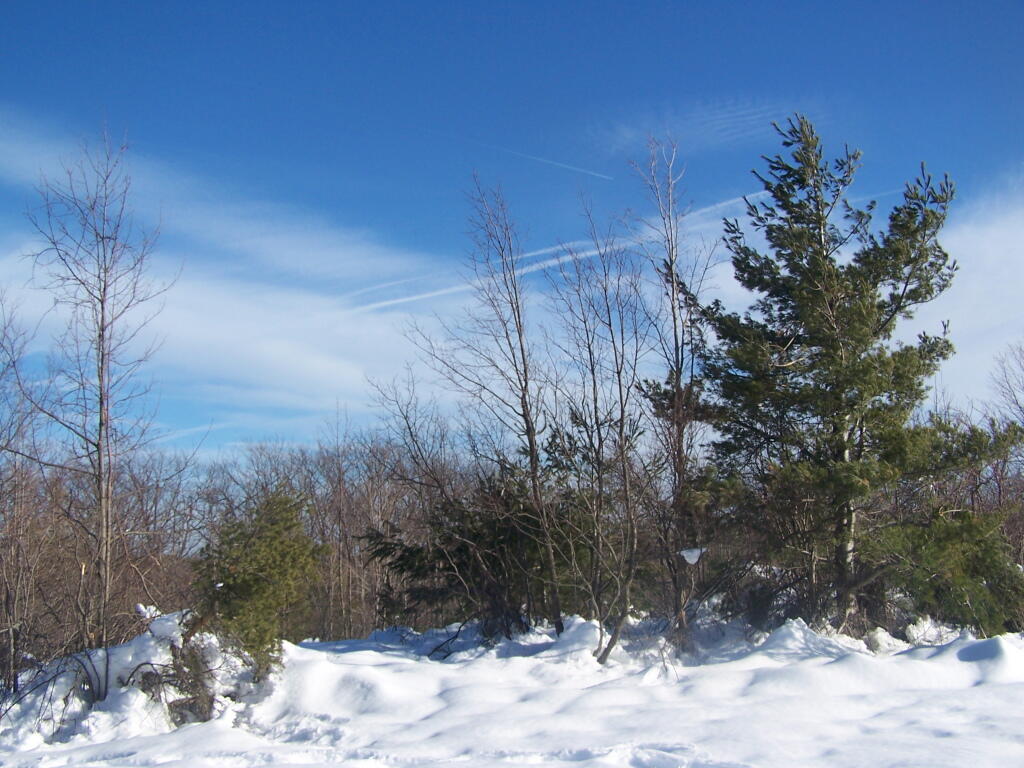Photo: Snow Covered Field