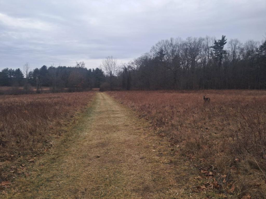 Photo: Untitled