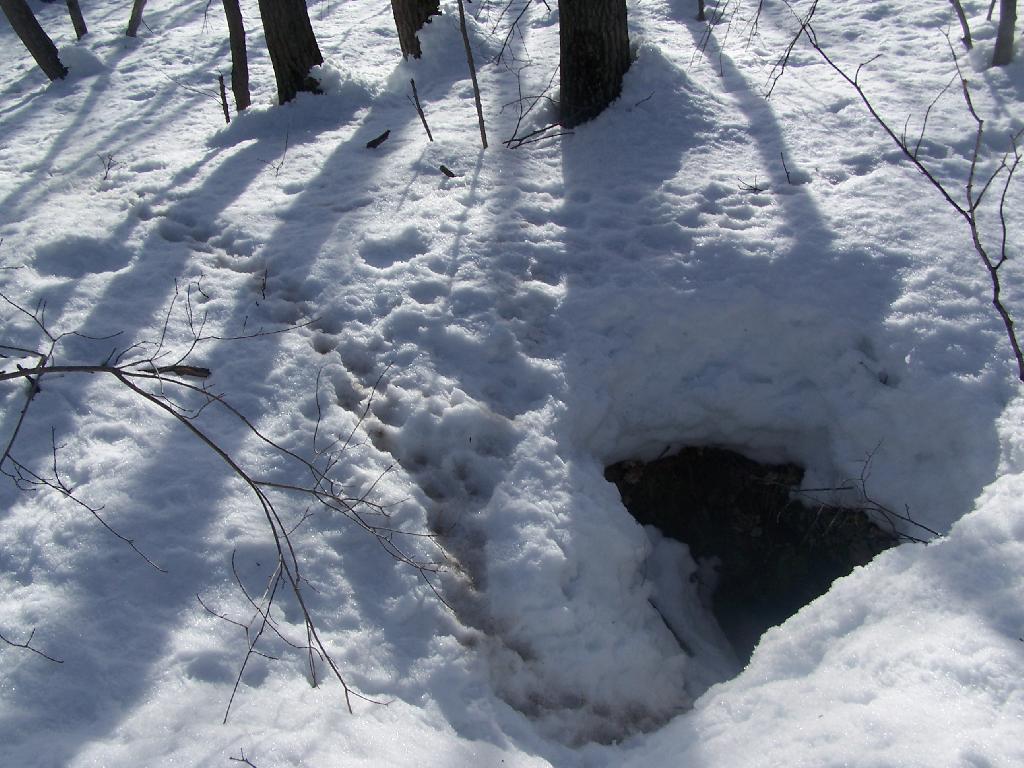Photo: Cave