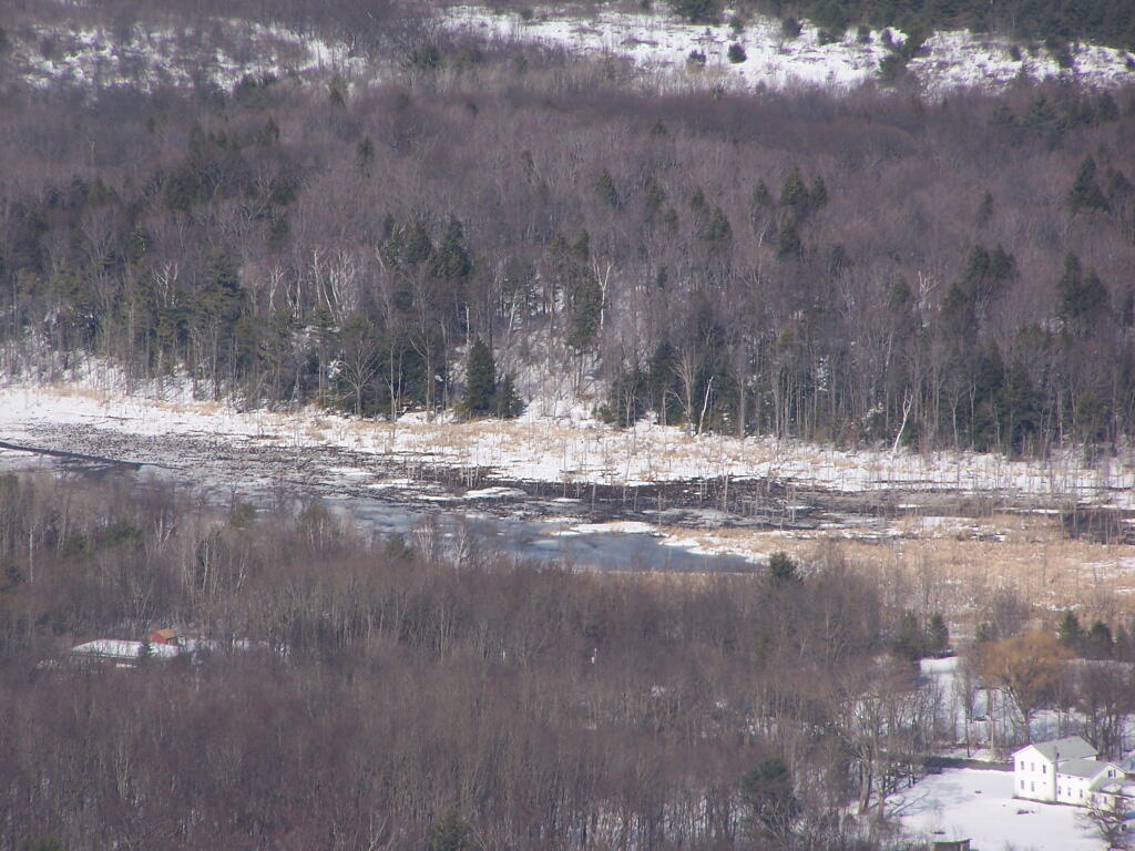 Photo: Wetlands Photo: Wetlands
