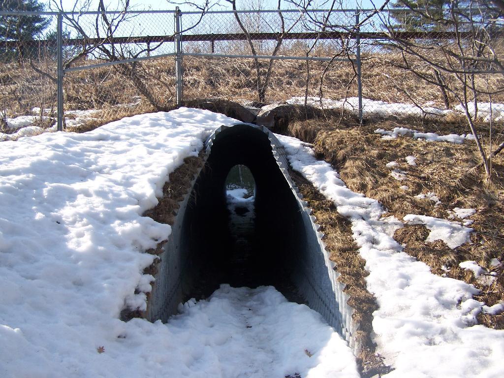 Photo: Tunnel Under the Northway