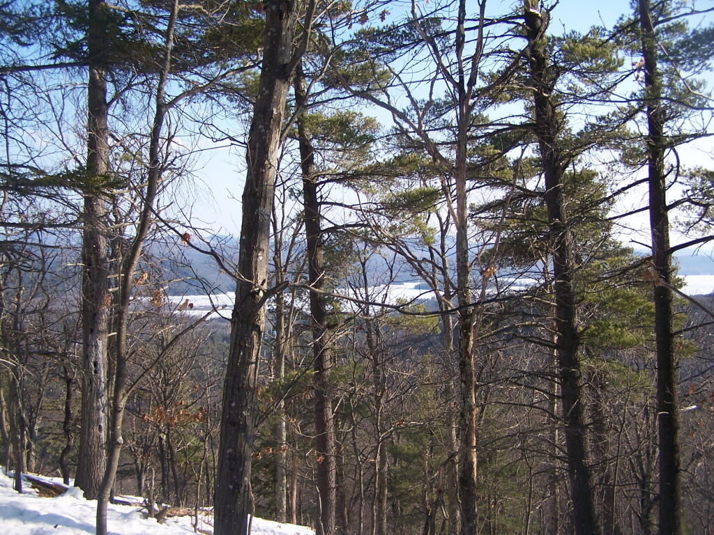 Photo: Continuing Up the Mountain Photo: Continuing Up the Mountain