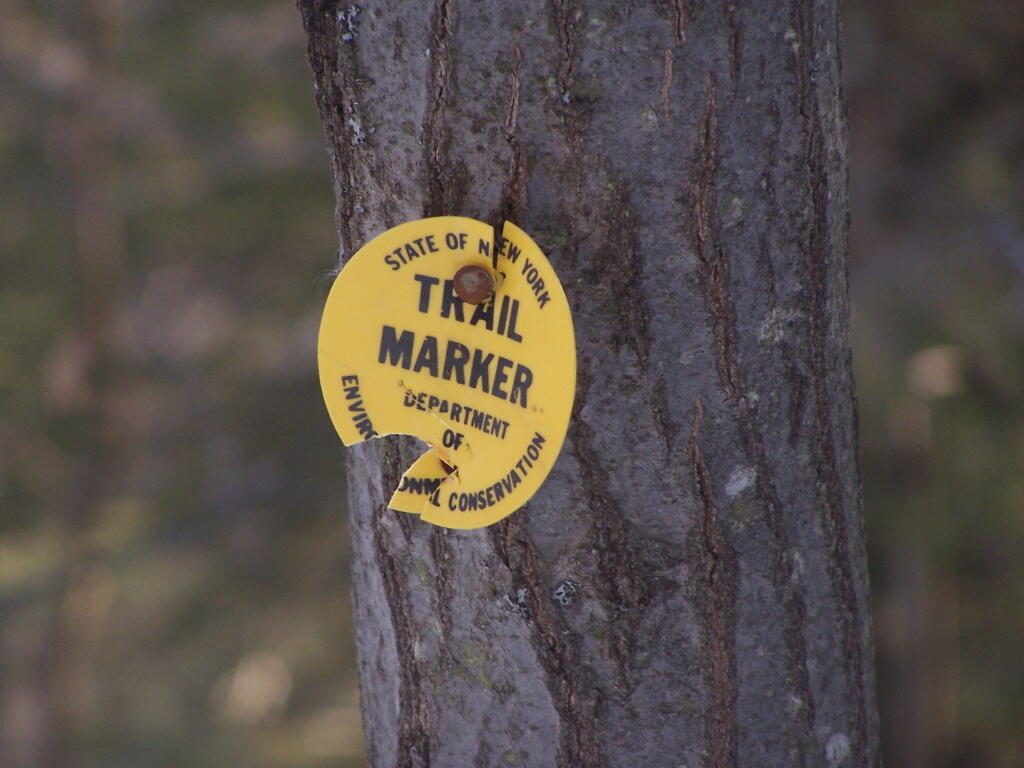 Photo: Yellow Trail Photo: Yellow Trail