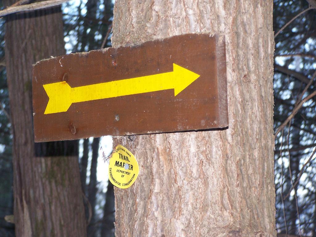 Photo: Trail Turns Photo: Trail Turns