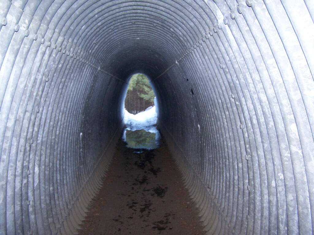 Photo: Hiking Under the Northway Photo: Hiking Under the Northway