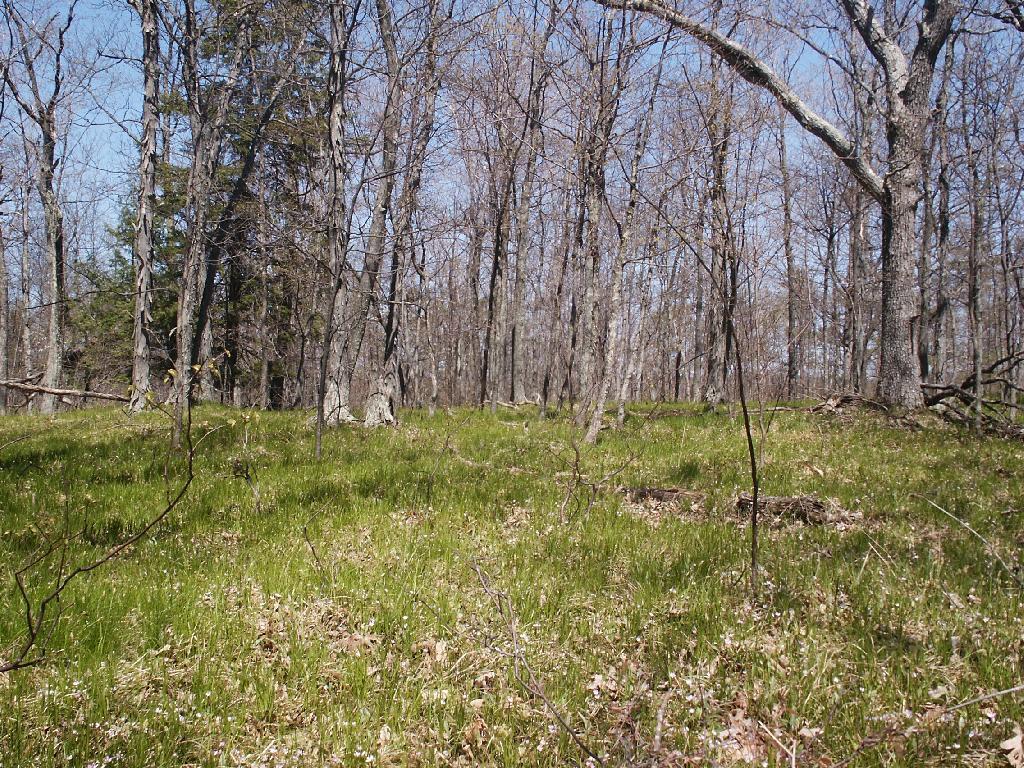 Photo: New Grass Photo: New Grass