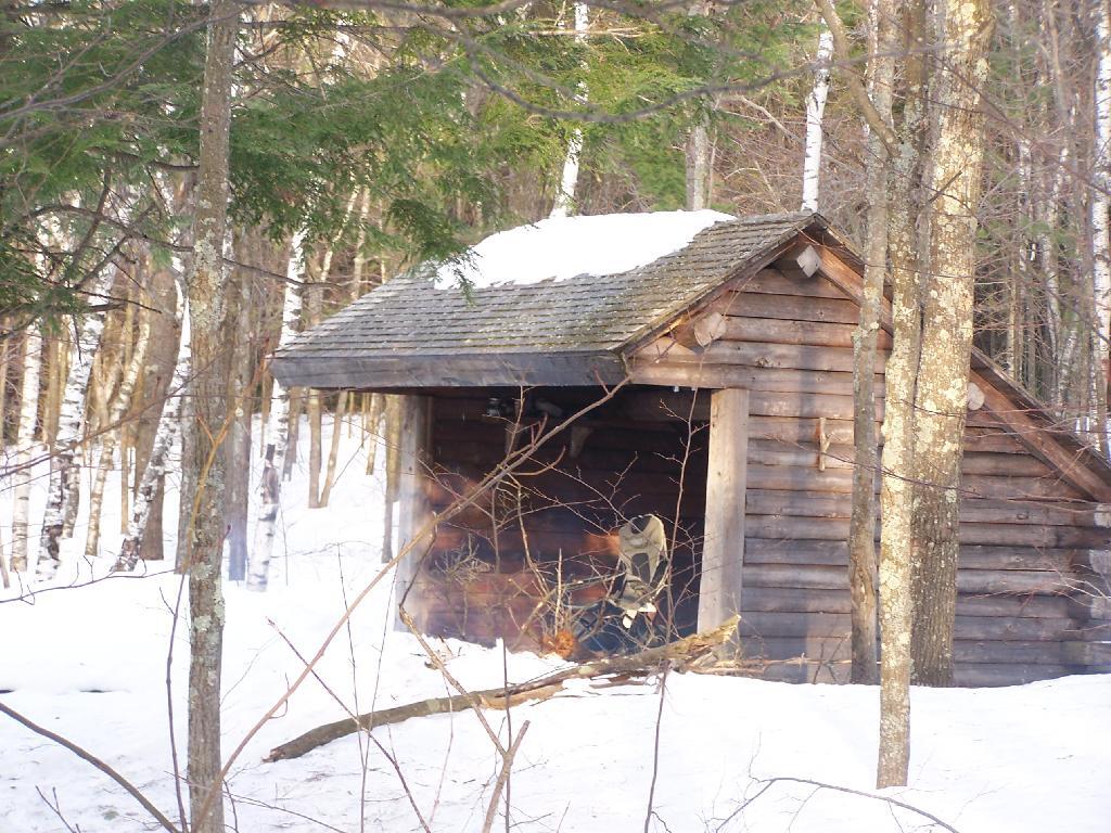 Photo: Cotton Hill Lean To Photo: Cotton Hill Lean To