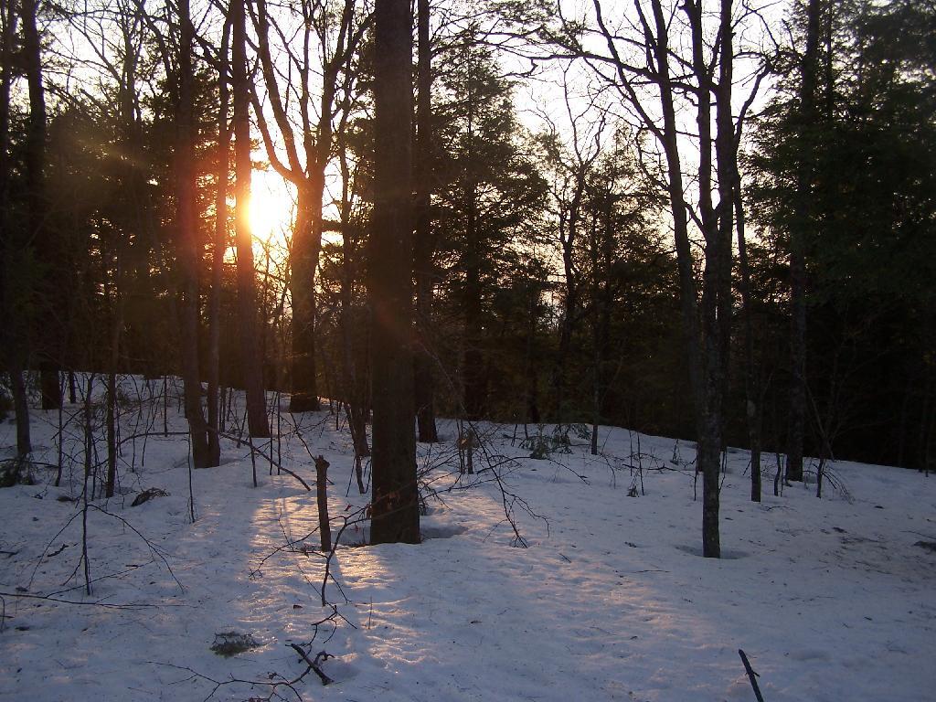 Photo: Sunset from Lean-To