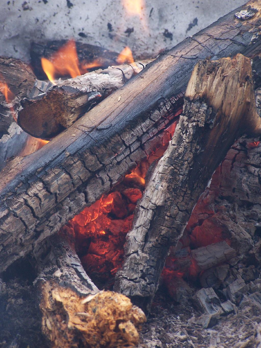 Photo: Warmth from Campfire