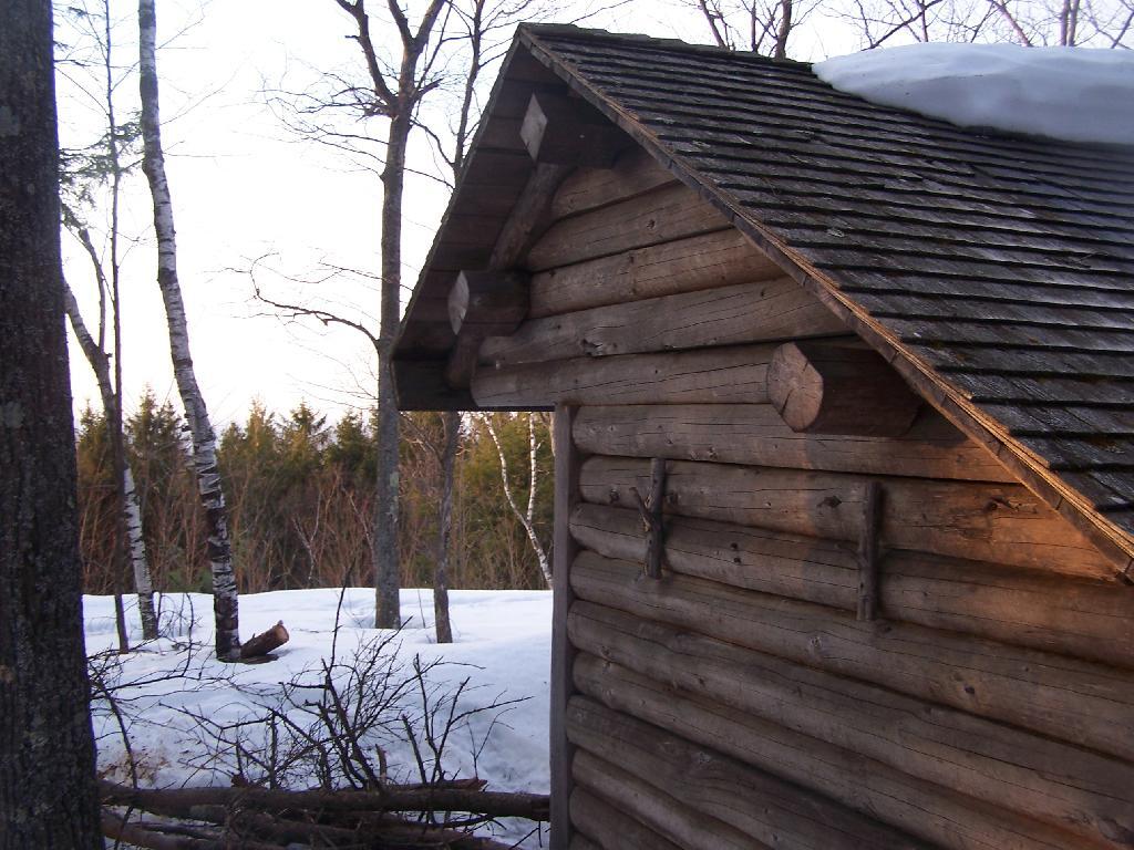 Photo: Corner of Lean-To