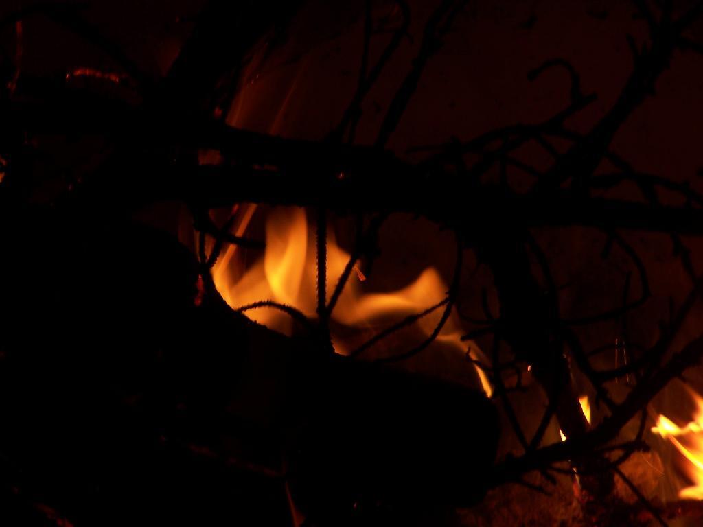 Photo: Campfire After Dark