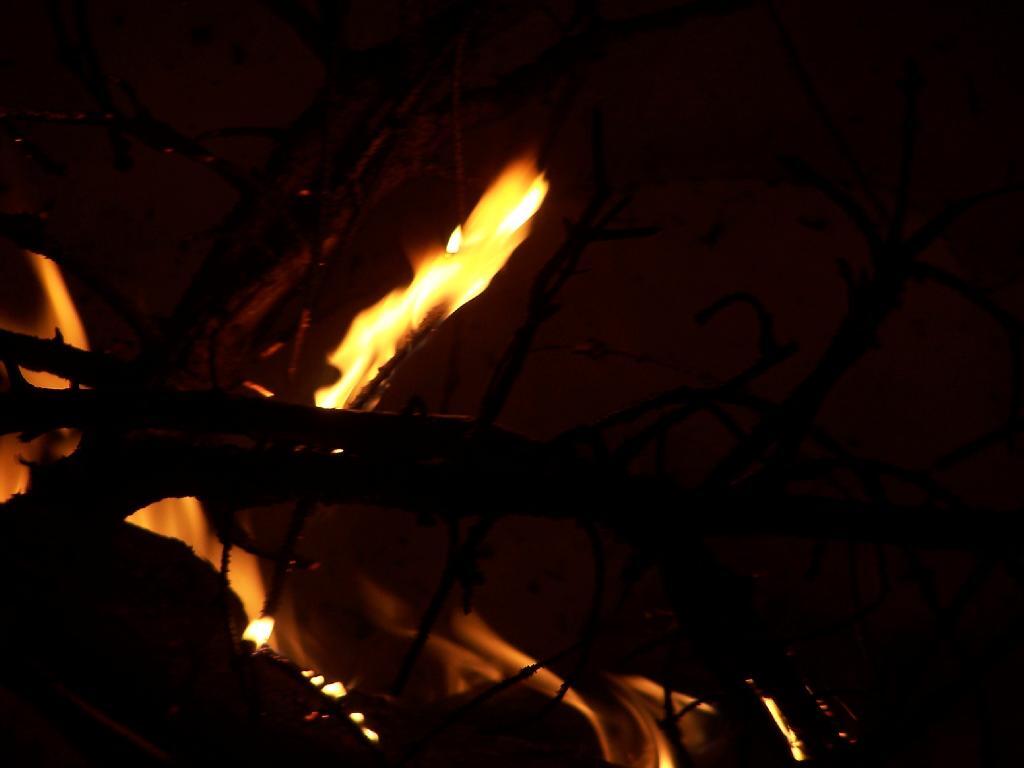 Photo: Burns