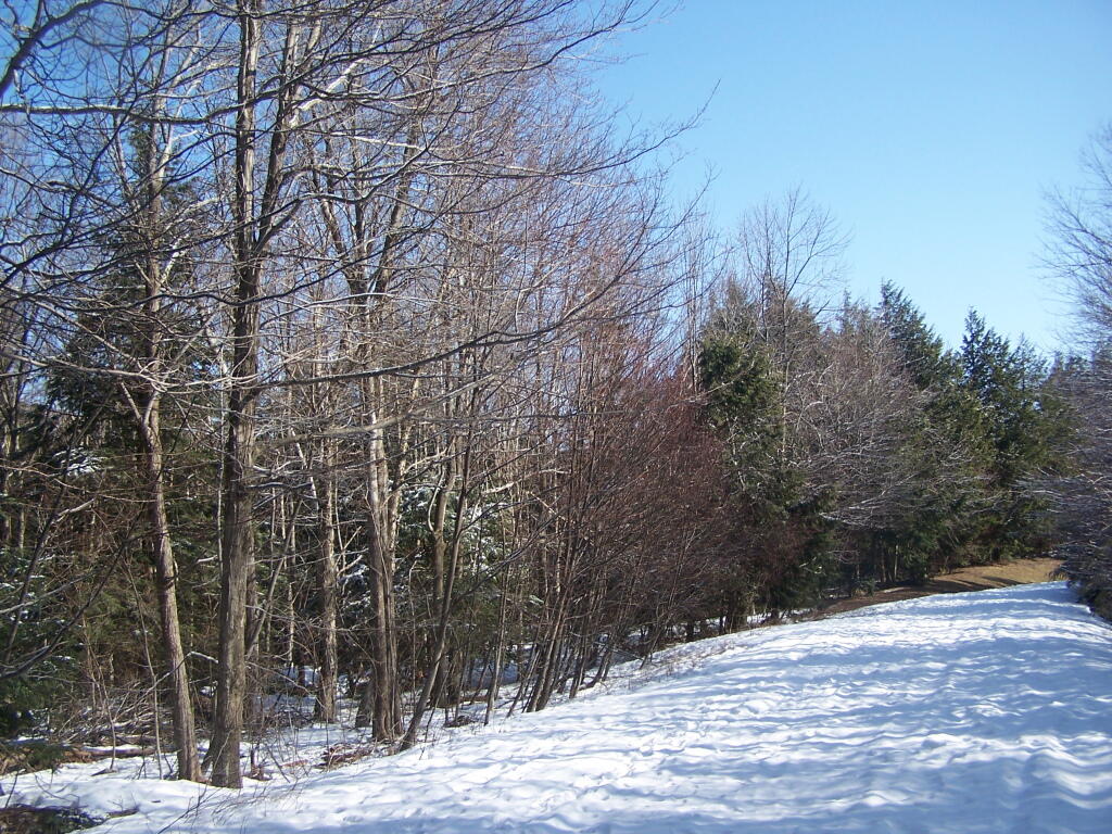 Photo: Snow Covered South Lake Road