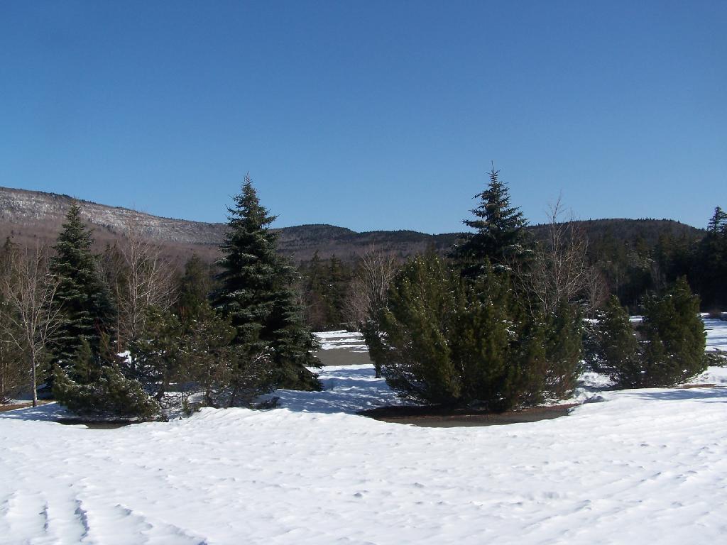 Photo: Ridge Heading Up to North Mountain Photo: Ridge Heading Up to North Mountain