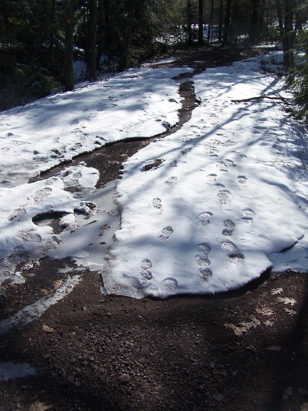 Photo: Melting Snow and Steps