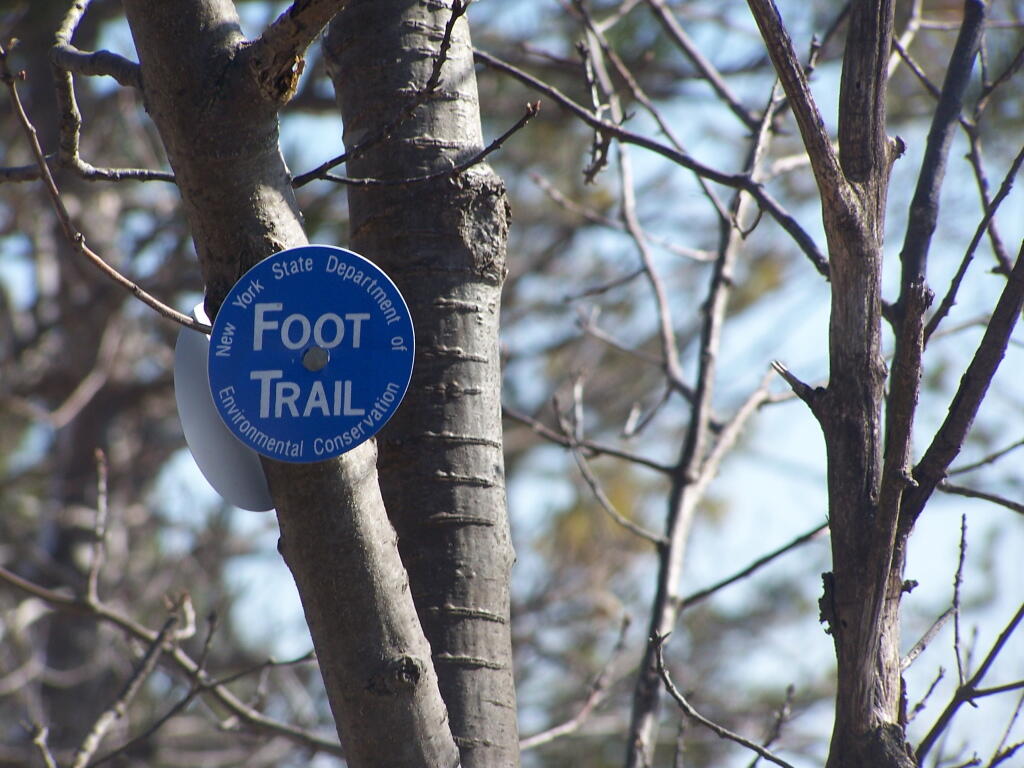 Photo: Along the Blue Trail Photo: Along the Blue Trail