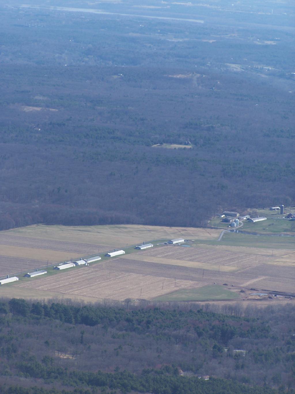 Photo: Sunrise Chicken Farm