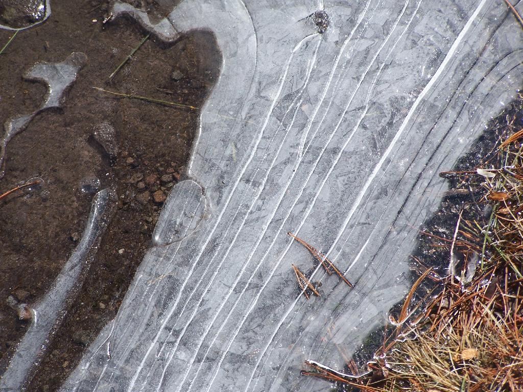 Photo: Ice Lines