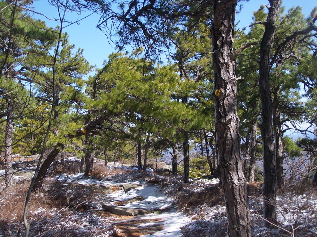 Photo: Yellow Trail on Sunset Rock