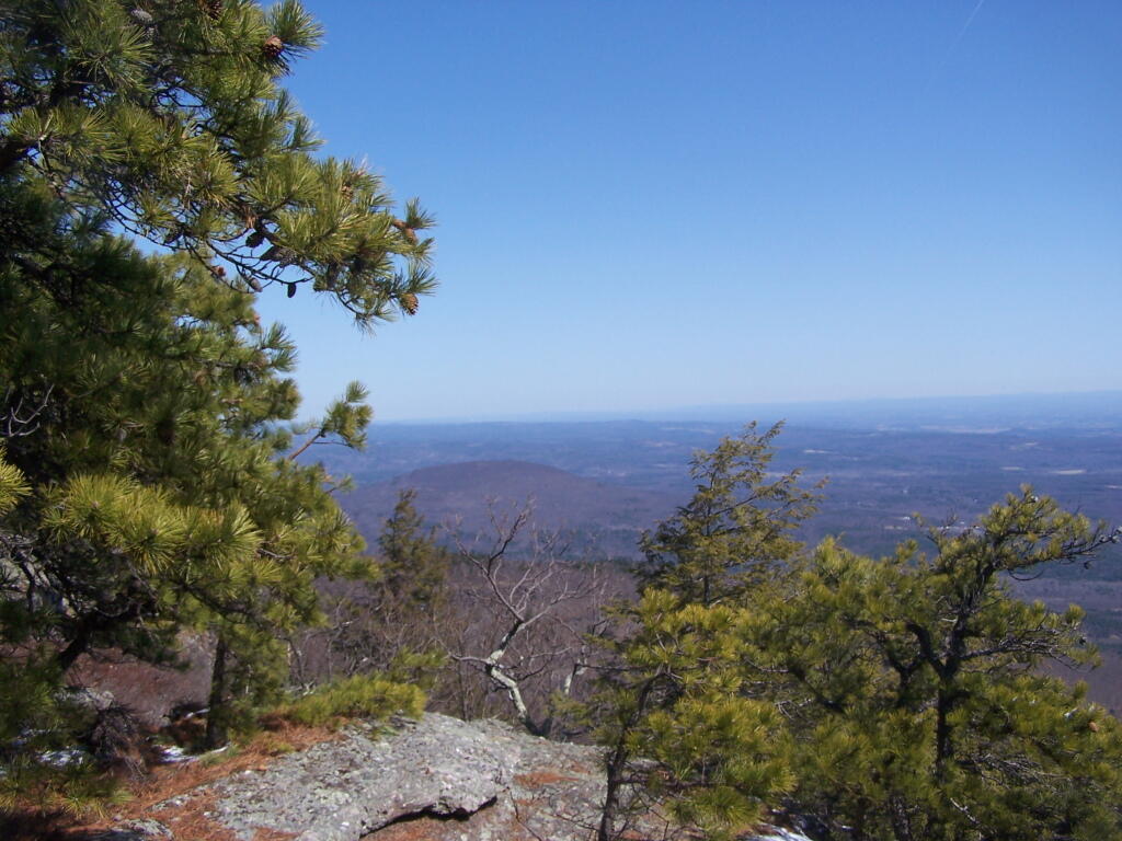 Photo: Roundtop